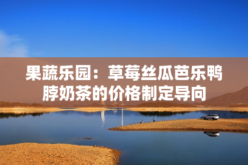 果蔬乐园：草莓丝瓜芭乐鸭脖奶茶的价格制定导向
