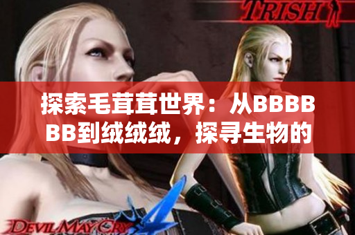 探索毛茸茸世界：从BBBBBB到绒绒绒，探寻生物的奇妙之处