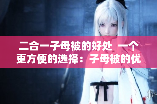二合一子母被的好处  一个更方便的选择：子母被的优势
