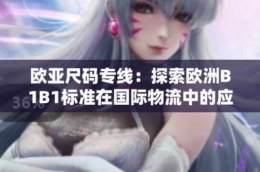 欧亚尺码专线：探索欧洲B1B1标准在国际物流中的应用与优势