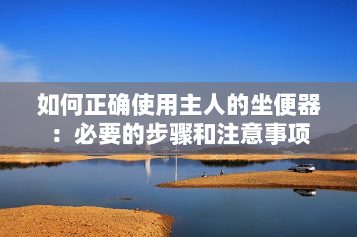如何正确使用主人的坐便器：必要的步骤和注意事项