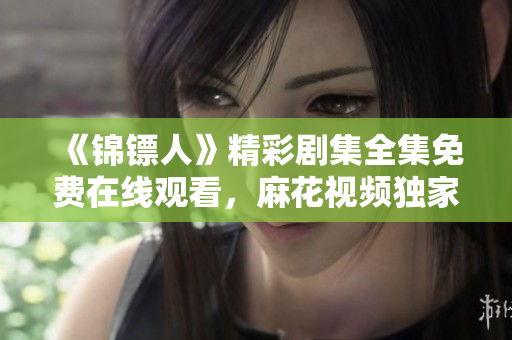 《锦镖人》精彩剧集全集免费在线观看，麻花视频独家播放，高清享受！