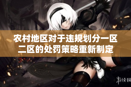 农村地区对于违规划分一区二区的处罚策略重新制定