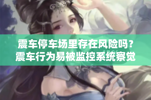 震车停车场里存在风险吗？震车行为易被监控系统察觉吗？