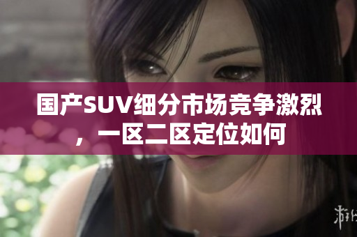 国产SUV细分市场竞争激烈，一区二区定位如何