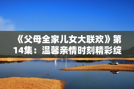 《父母全家儿女大联欢》第14集：温馨亲情时刻精彩绽放