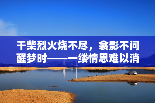干柴烈火烧不尽，衾影不问醒梦时——一缕情思难以消逝