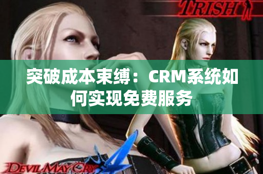 突破成本束缚：CRM系统如何实现免费服务