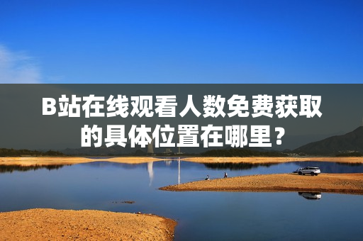 B站在线观看人数免费获取的具体位置在哪里？