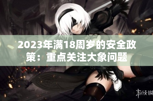 2023年满18周岁的安全政策：重点关注大象问题