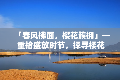 「春风拂面，樱花簇拥」— 重拾盛放时节，探寻樱花魅力