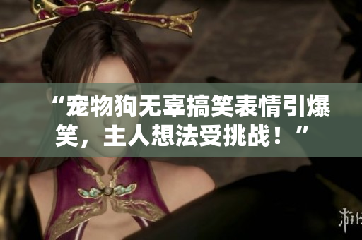 “宠物狗无辜搞笑表情引爆笑，主人想法受挑战！”