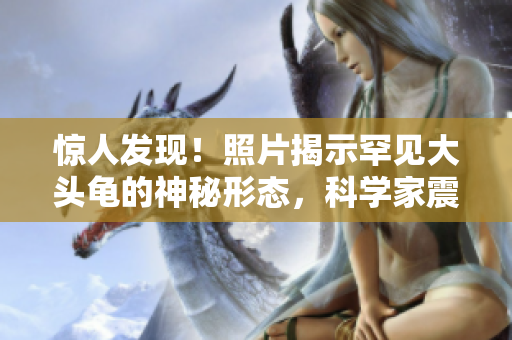 惊人发现！照片揭示罕见大头龟的神秘形态，科学家震惊不已！