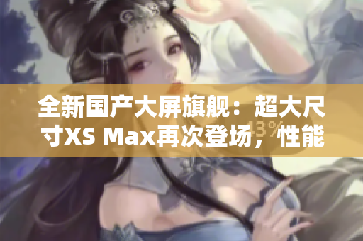 全新国产大屏旗舰：超大尺寸XS Max再次登场，性能更强劲，体验更卓越
