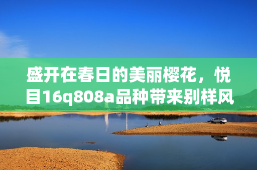 盛开在春日的美丽樱花，悦目16q808a品种带来别样风采