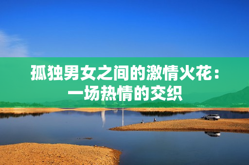 孤独男女之间的激情火花：一场热情的交织