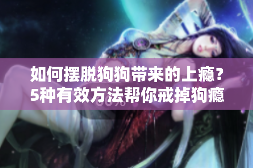 如何摆脱狗狗带来的上瘾？5种有效方法帮你戒掉狗瘾