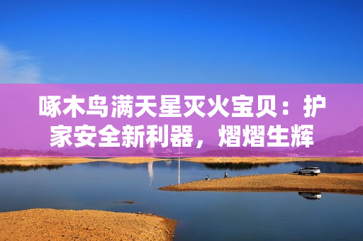 啄木鸟满天星灭火宝贝：护家安全新利器，熠熠生辉