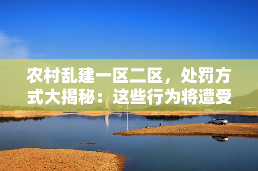 农村乱建一区二区，处罚方式大揭秘：这些行为将遭受何种制裁？
