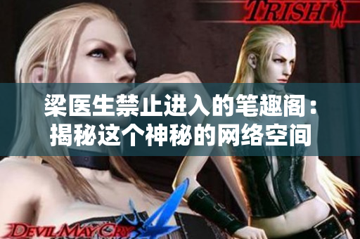 梁医生禁止进入的笔趣阁：揭秘这个神秘的网络空间