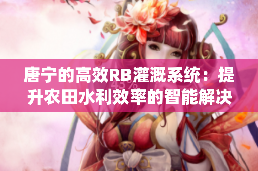 唐宁的高效RB灌溉系统：提升农田水利效率的智能解决方案