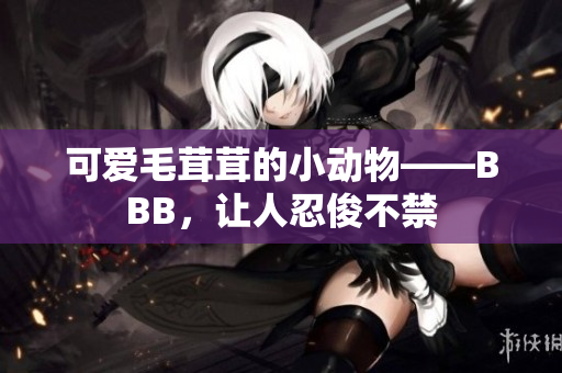 可爱毛茸茸的小动物——BBB，让人忍俊不禁
