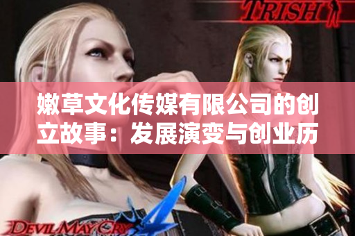 嫩草文化传媒有限公司的创立故事：发展演变与创业历程回顾