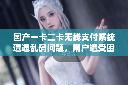 国产一卡二卡无线支付系统遭遇乱码问题,用户遭受困扰