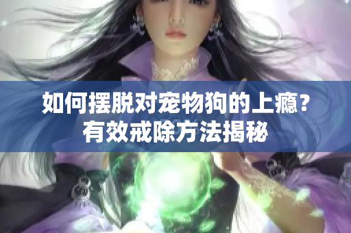 如何摆脱对宠物狗的上瘾？有效戒除方法揭秘