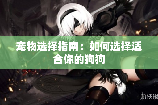宠物选择指南：如何选择适合你的狗狗