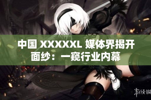 中国 XXXXXL 媒体界揭开面纱：一窥行业内幕