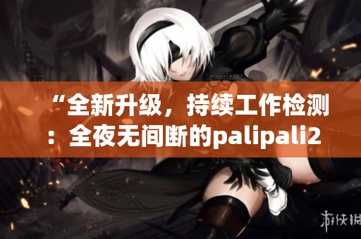“全新升级，持续工作检测：全夜无间断的palipali2体验”