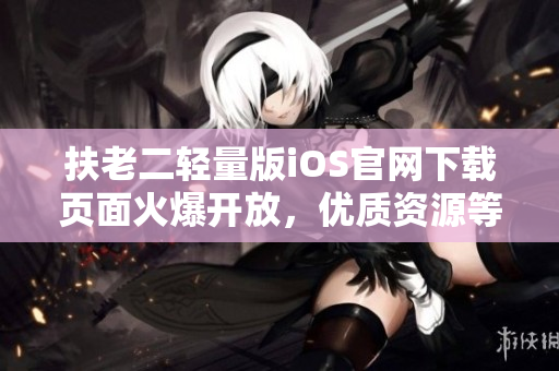 扶老二轻量版iOS官网下载页面火爆开放，优质资源等你探索