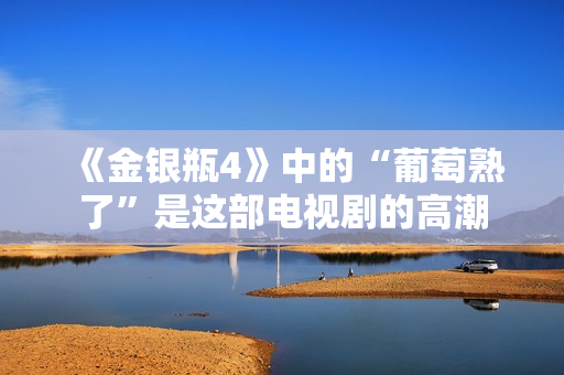 《金银瓶4》中的“葡萄熟了”是这部电视剧的高潮