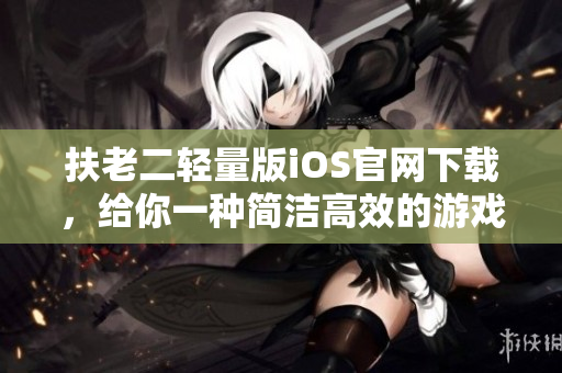 扶老二轻量版iOS官网下载，给你一种简洁高效的游戏体验。