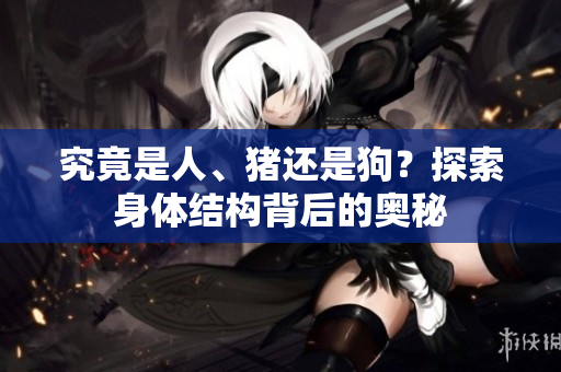 究竟是人、猪还是狗？探索身体结构背后的奥秘