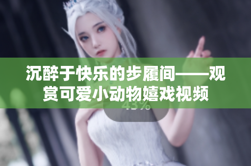 沉醉于快乐的步履间——观赏可爱小动物嬉戏视频