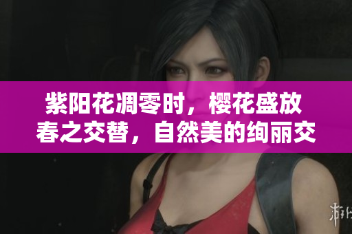 紫阳花凋零时，樱花盛放 春之交替，自然美的绚丽交响