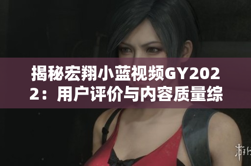 揭秘宏翔小蓝视频GY2022：用户评价与内容质量综述
