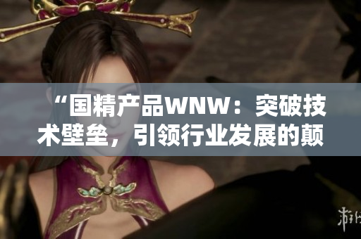“国精产品WNW：突破技术壁垒，引领行业发展的颠覆性创新”