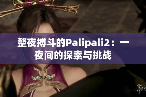 整夜搏斗的Palipali2：一夜间的探索与挑战