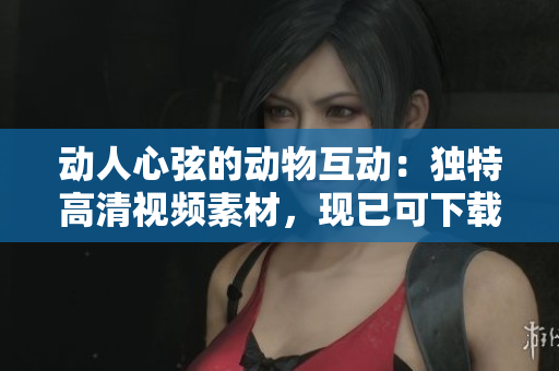 动人心弦的动物互动：独特高清视频素材，现已可下载