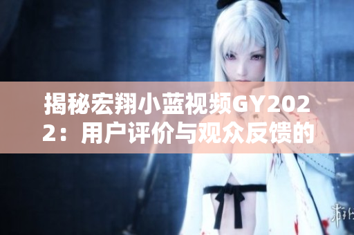 揭秘宏翔小蓝视频GY2022：用户评价与观众反馈的全面解读