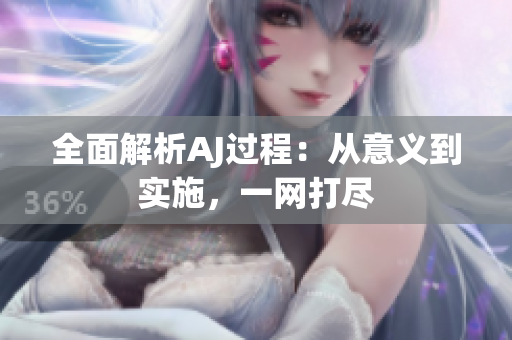全面解析AJ过程：从意义到实施，一网打尽