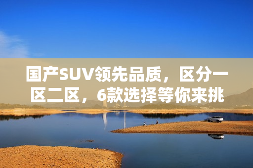 国产SUV领先品质，区分一区二区，6款选择等你来挑!