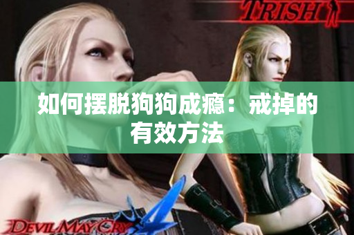 如何摆脱狗狗成瘾：戒掉的有效方法