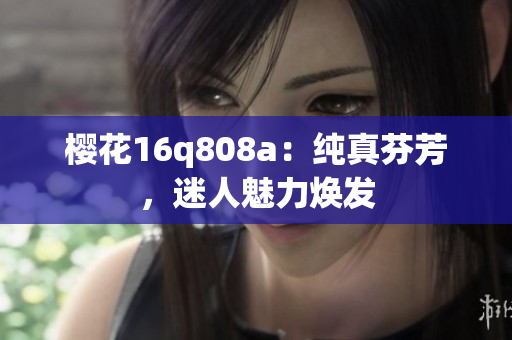 樱花16q808a：纯真芬芳，迷人魅力焕发