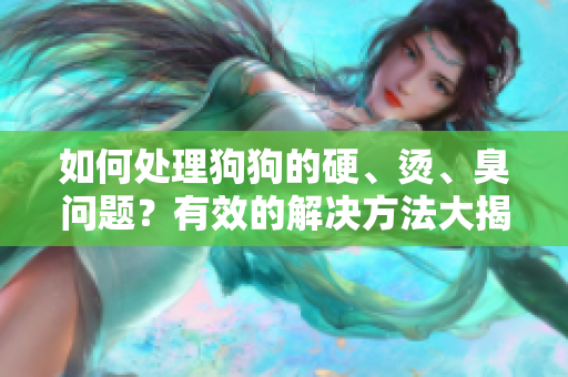 如何处理狗狗的硬、烫、臭问题？有效的解决方法大揭秘!