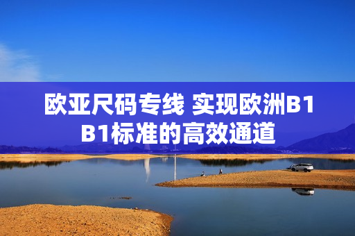 欧亚尺码专线 实现欧洲B1B1标准的高效通道