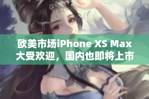 欧美市场iPhone XS Max大受欢迎，国内也即将上市